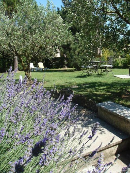 L'Olivier Διαμέρισμα Grignan Εξωτερικό φωτογραφία