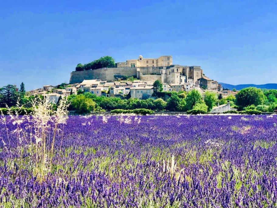 L'Olivier Διαμέρισμα Grignan Εξωτερικό φωτογραφία